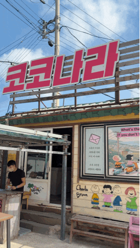 제주도 우도 여행 계획 중이세요? [코코나라]에서 우도전기차 오픈카 대여하고 하루종일 드....