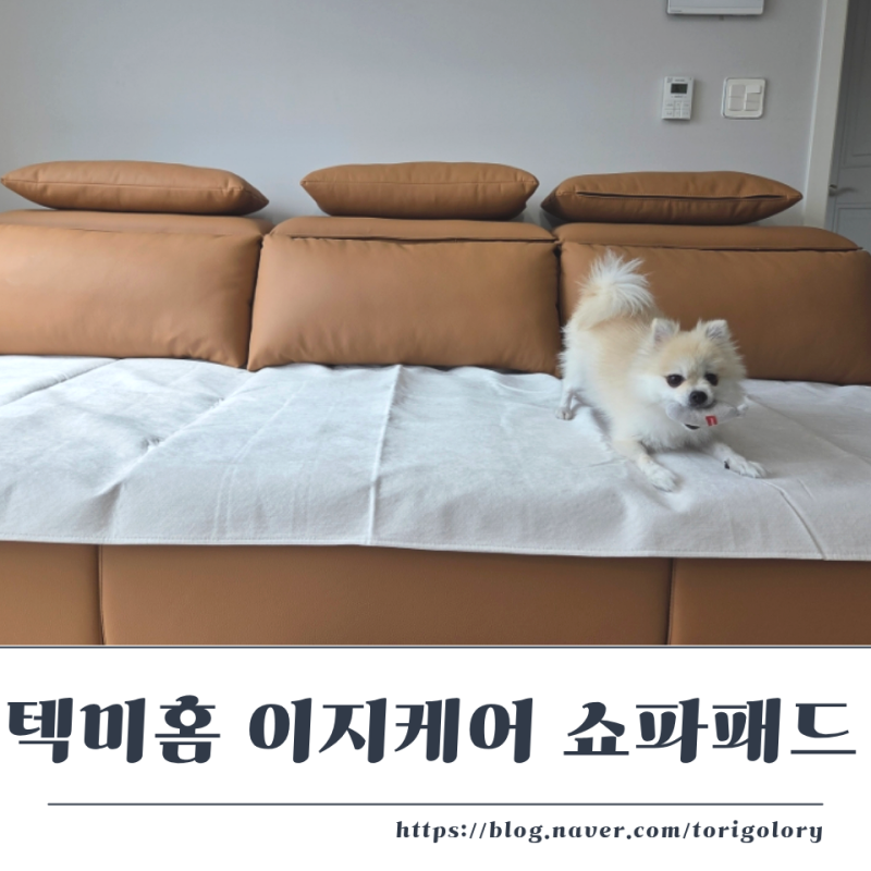 텍미홈 이지케어 쇼파 패드 강아지 있는 집 필수 솔직 사용 후기