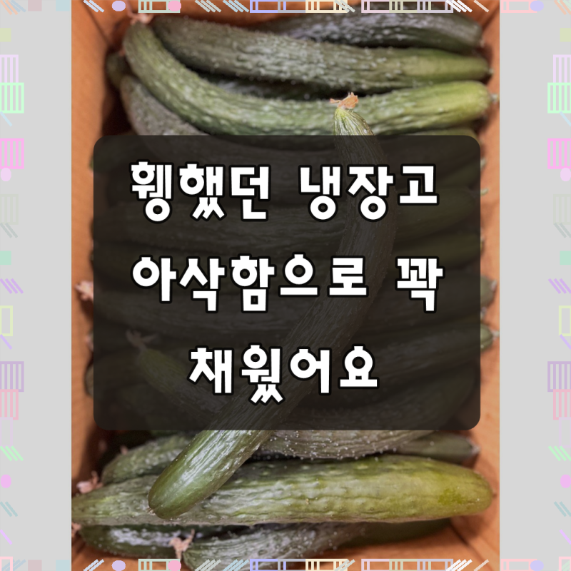 국내산 가시오이 아삭아삭한 취청 못난이 오이 10kg