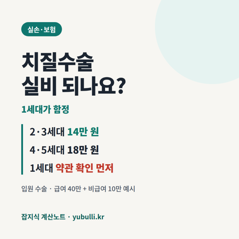 치질수술 실비, 가장 오래된 1세대가 한 푼도 못 받을 수 있습니다 — 세대별 입원 자기부담 ....
