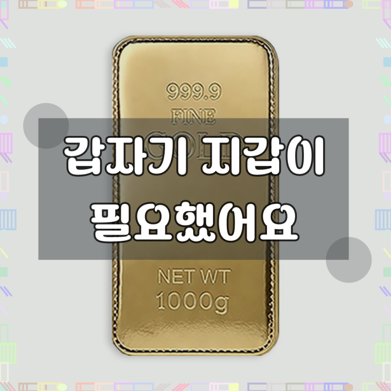 필드버디 라운딩지갑 골프지갑 머니클립 요술지갑 카드수납