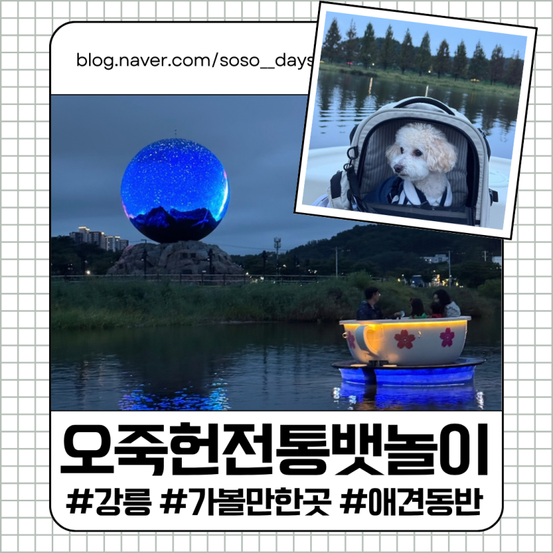  Ojukheon Traditional Boat Ride: On-site Reservation and Pet-Friendly Review, Plus Get 30,000 Won in Gangneung Pay!
