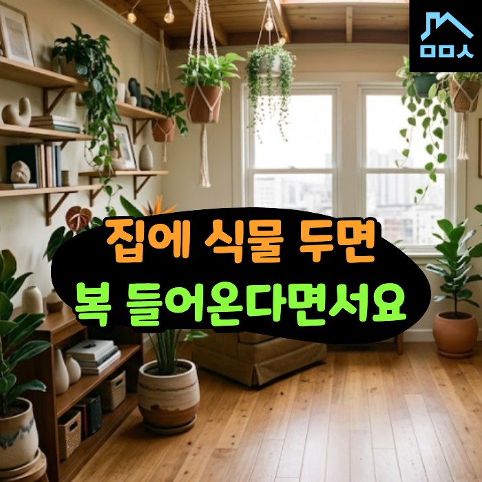 아니.. 화분이 너무 많아도 안 좋다고? 풍수지리 화분 개수