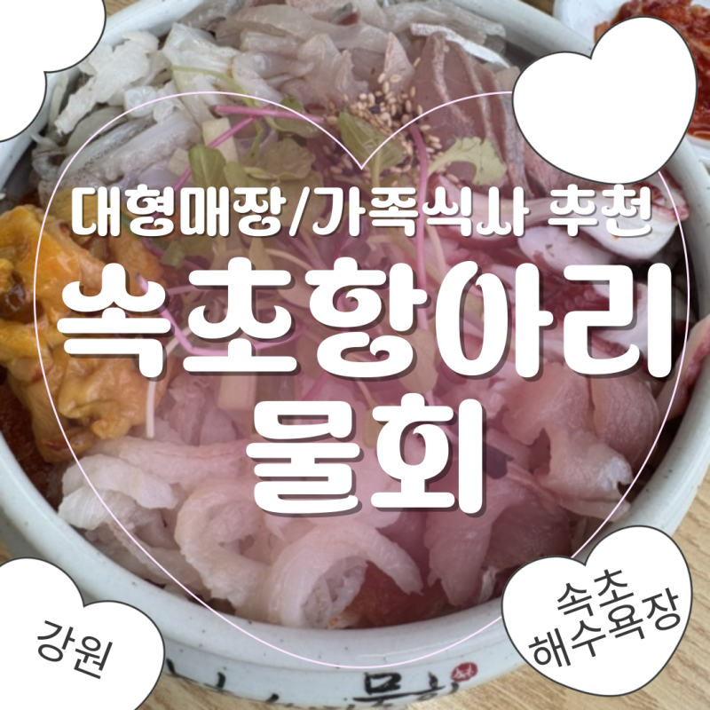속초 물회 맛집 속초항아리물회｜속초해수욕장 앞 푸짐한 모듬물회, 주차 웨이팅 후기