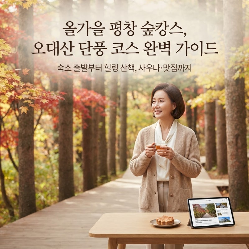 평창 오대산 단풍 여행 코스 추천 : 켄싱턴·알펜시아 출발 전나무숲길 트레킹부터 리조트 사....
