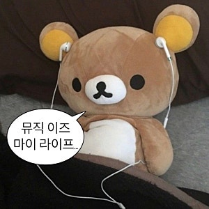 내돈내산 아이리버 C타입 이어폰 후기｜가성비 유선 이어폰 추천, 저음 사운드까지