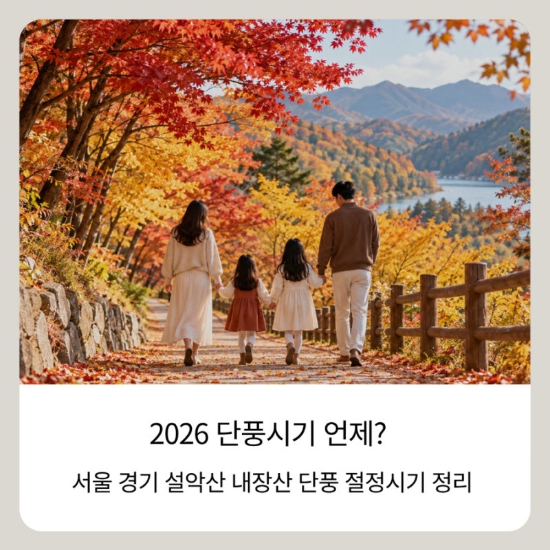 2026 단풍시기 언제? 서울 경기 설악산 내장산 단풍 절정시기 정리