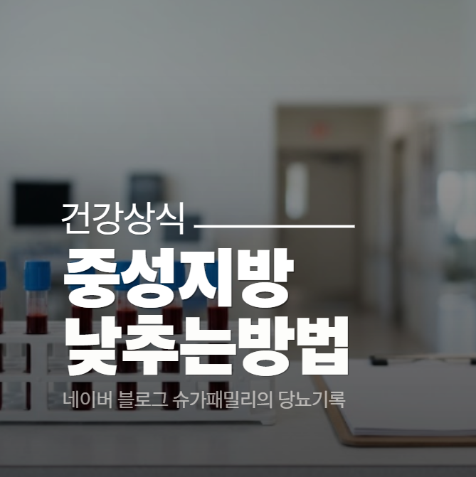 중성지방 낮추는 법, 정상수치와 식습관 정리