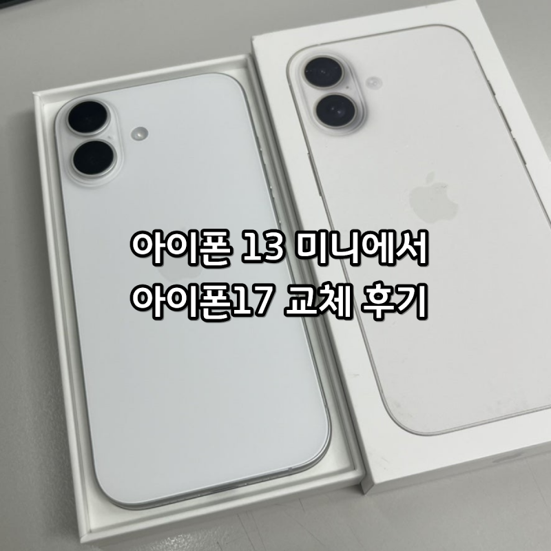 아이폰13미니에서 아이폰17로 갈아탄 찐 후기 및 스펙 정리