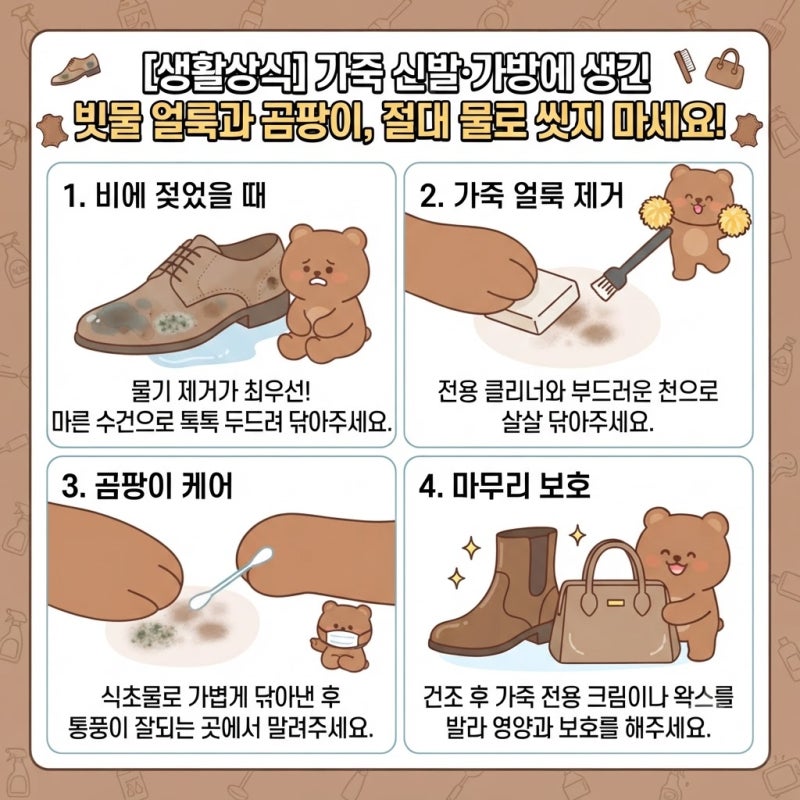 [생활상식] 가죽 신발·가방에 생긴 빗물 얼룩과 곰팡이, 절대 물로 씻지 마세요!
