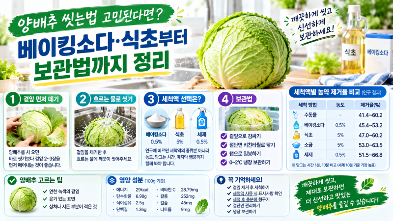 양배추 씻는법 고민된다면? 베이킹소다 식초부터 보관법까지 정리