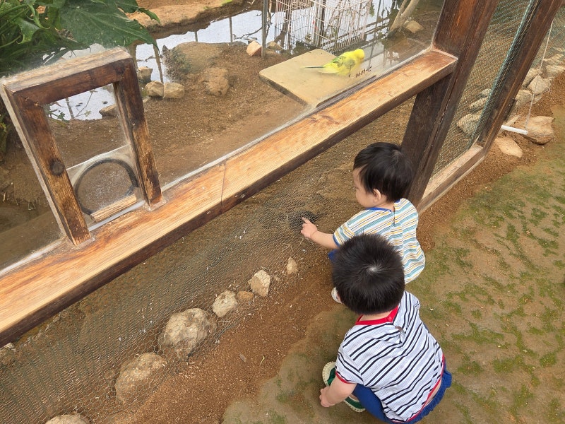 파주 아이랑 동물구경 나눔농장 16개월 아이 후기!