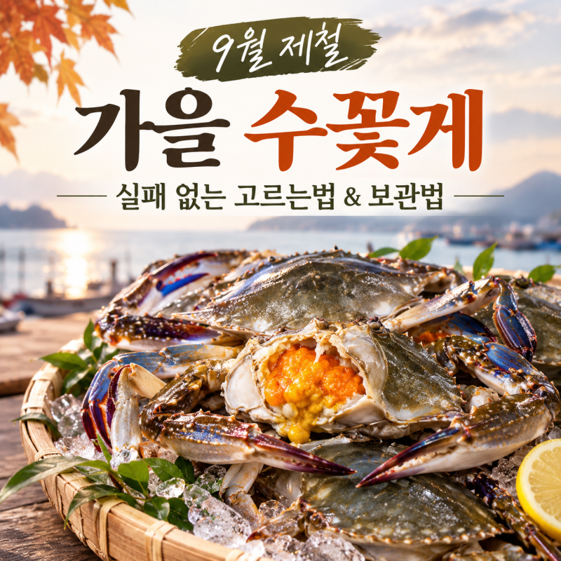 9월 제철 꽃게 고르는법 냉동 보관법 당일 손질 꿀팁