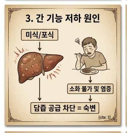간 기능 저하(독소, 소화액 분비, 전신 이상)