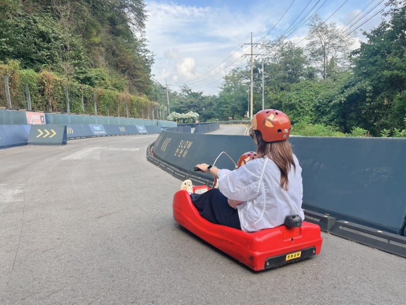 [횡성] 원주, 횡성 가볼만한곳 횡성 루지체험장 2.4km 세계최장 루지 솔직후기