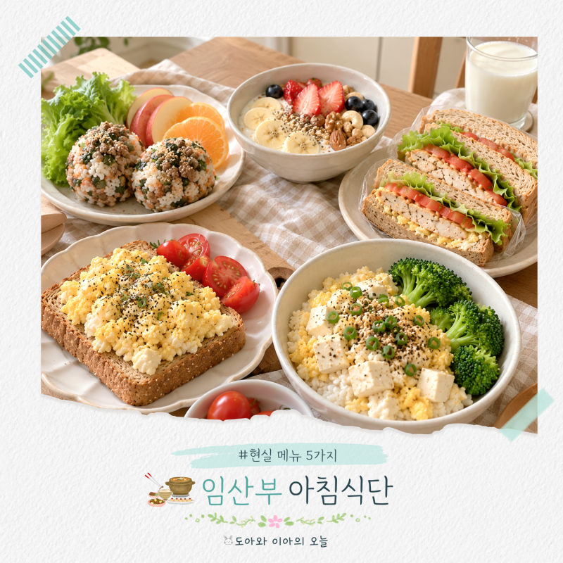 임산부 아침 식단 5가지, 단백질·엽산 챙기는 현실 메뉴