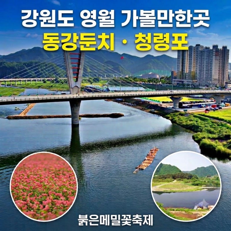10月 江原道寧越の観光スポット 東江屯地ドゥムチッ 寧越清泠浦 赤いそば祭り