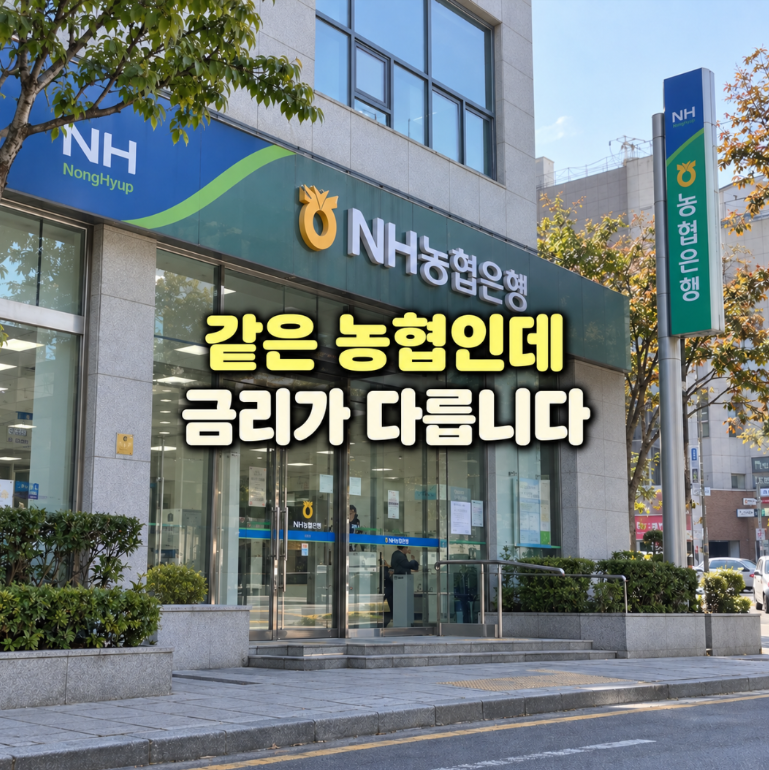 농협 정기적금 금리 높은 곳, 1년 4.2%가 최고일까
