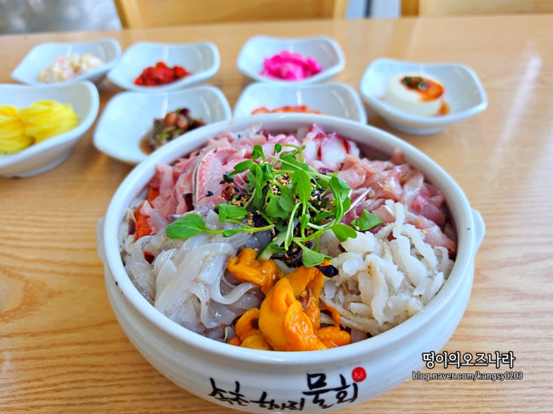 속초 물회 맛집 속초항아리물회 가격 웨이팅 후기! 혼밥 가능