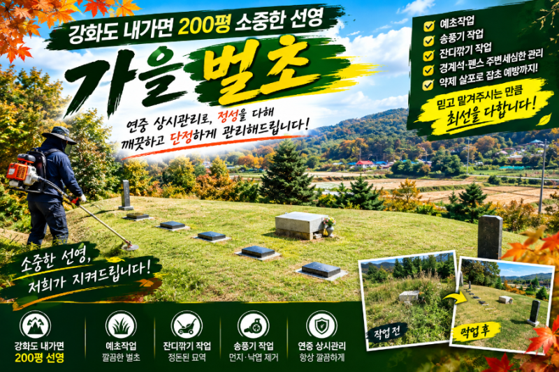 강화도 내가면 200평 선영 가을벌초, 두더지 퇴치 케어와 잔디깎기 수회 작업으로 완성한 명....