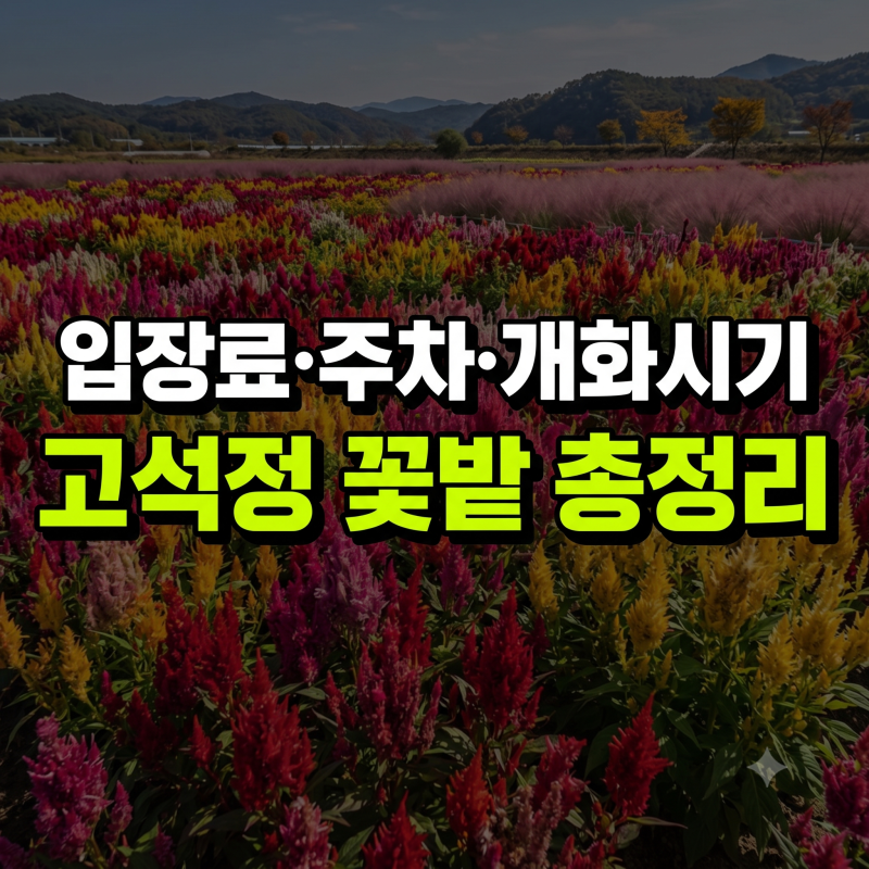 철원 고석정 꽃밭 가을 축제 총정리: 입장료 환급, 개화 상황, 주차 팁