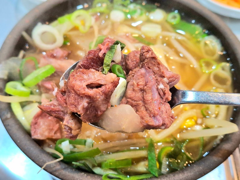 부산 해운대 맛집 해수욕장 근처 국밥집 아침식사 해운대원조할매국밥 식당 내돈내산