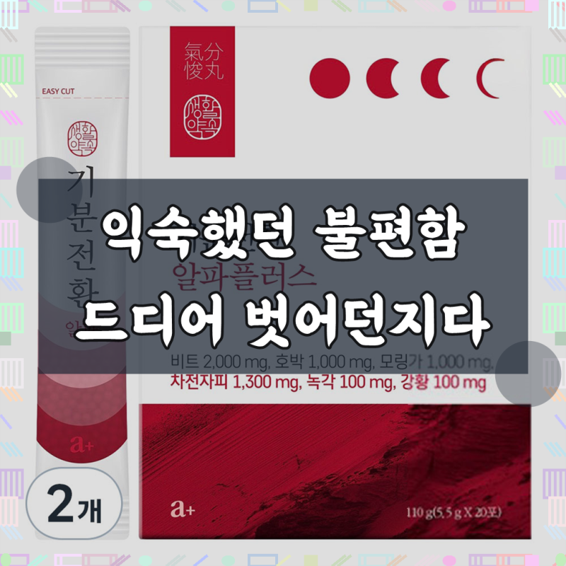 생활약속 기분전환 알파플러스 환 20p, 110g, 2개