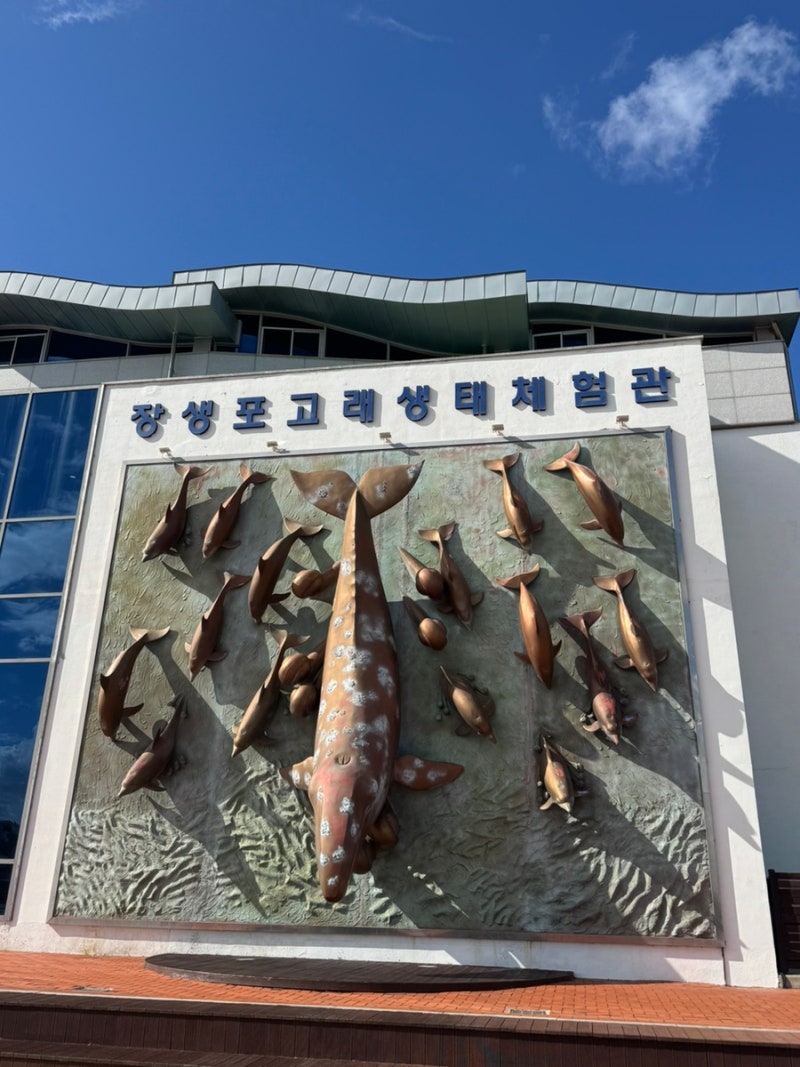 울산 장생포 가볼만한곳 고래생태체험관ㅣ돌고래쇼 시간, 주차, 가격
