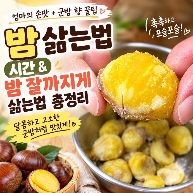 밤 삶는법 시간 & 밤 잘까지게 찌는법 총정리 (엄마의 손맛 + 군밤 향 꿀팁)