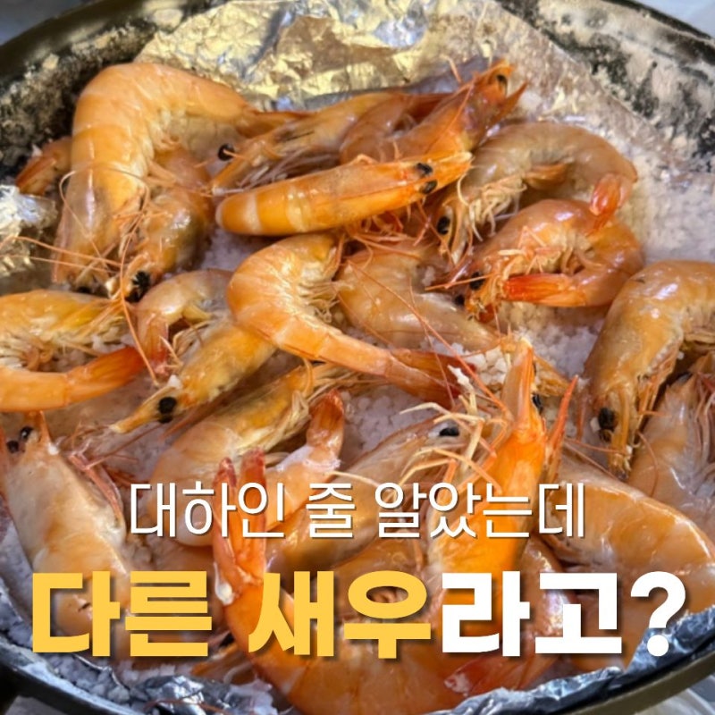 "이게 대하가 아니었다고?" 우리가 자주 먹는 새우의 정체