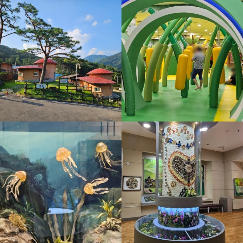 경북 문경 가볼만한곳 문경새재도립공원 근처 문경자연생태박물관 스머프마을 캠핑장 숙소