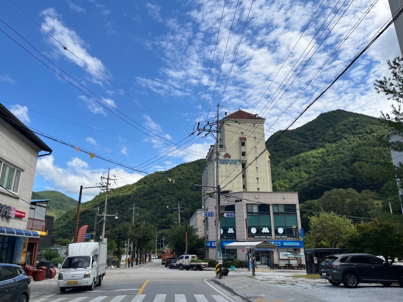 정선여행 1박2일 민둥산역 숙소 추천 정선메이플관광호텔 스탠다드더블