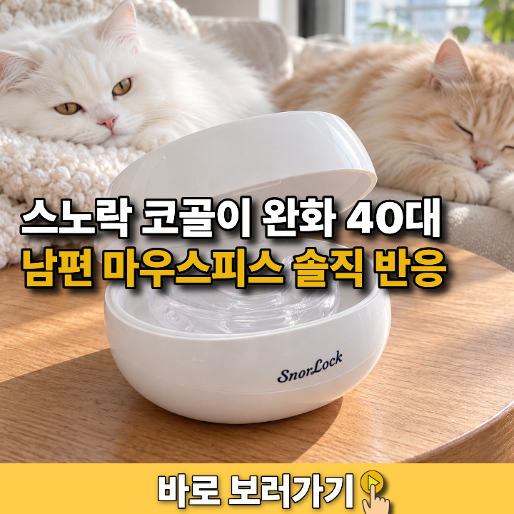 스노락 코골이 완화 40대 남편 마우스피스 솔직 반응