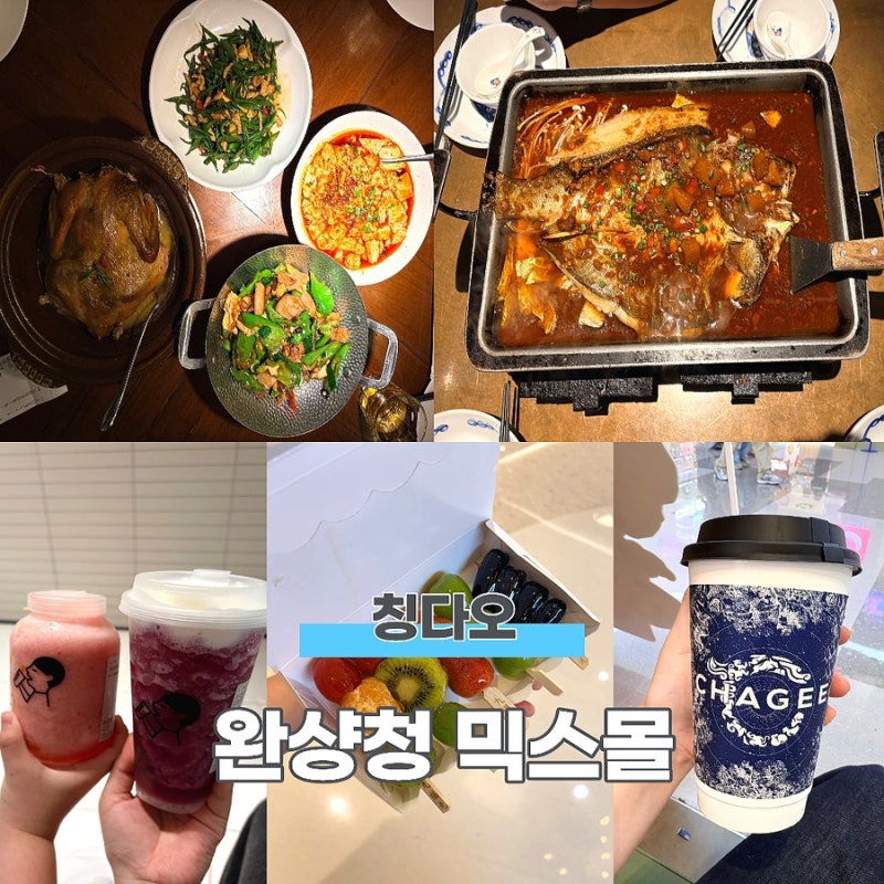 중국 칭다오 | 완샹청 믹스몰 맛집 루위, 와이포지아, 지우푸위안 탕후루, 바오스푸 에그타르....
