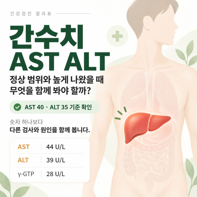 간수치 AST ALT, 정상 범위와 높게 나왔을 때 무엇을 함께 볼까?