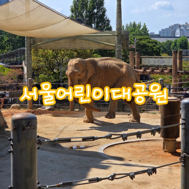 [어린이대공원 주차 꿀팁] 추석 연휴 토요일 어린이대공원 동물원 나들이