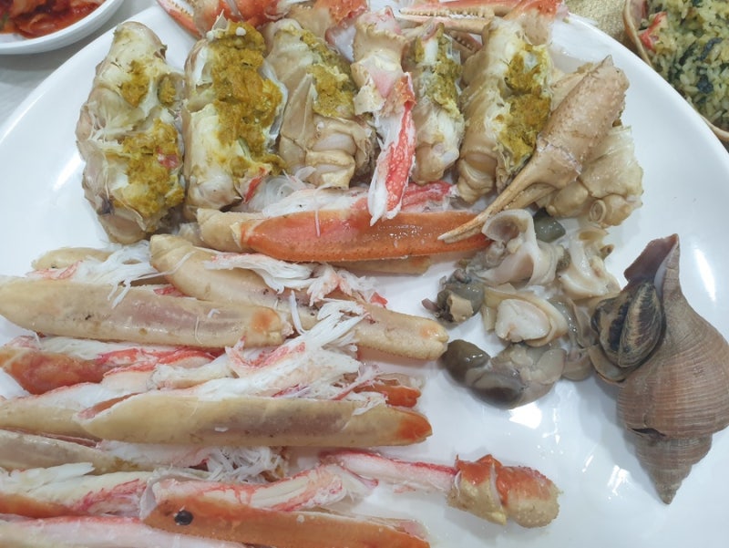 영덕 강구항 대게 맛집 10년 단골집 공개｜대게 수율부터 숙박까지 제대로