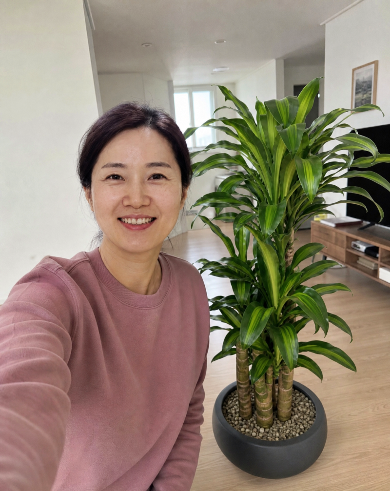 "행운목 줄기가 검게 썩는 건 관리를 게을리해서가 아니예요" 수경재배 물갈아주는주기 분갈....