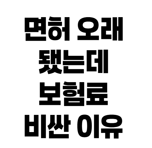 면허 오래됐는데 보험료 비싸다면 운전경력부터 확인하세요
