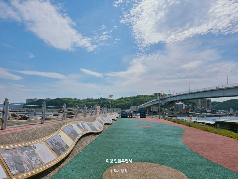 영덕 가볼만한곳 강구해상대교 개통 강구항 삼사해상공원 여행 코스 영덕 숙소 파나크리조....