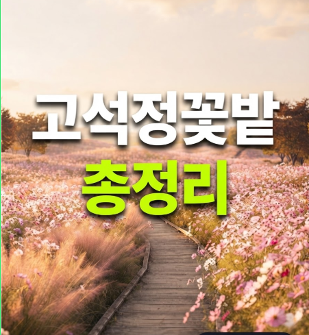철원 고석정 꽃축제 꽃밭 가는길 가을여행 가볼만한곳 입장료 주차 맛집