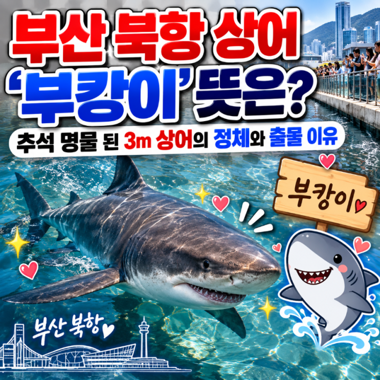 부산 북항 <b>상어</b> ‘<b>부캉이</b>’ 뜻은? 추석 명물 된 3m <b>상어</b>의 정체와 출....