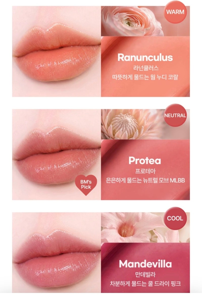 다이소 샤넬 저렴이 뭐길래? 5천원 립 포함 다이소 립 BEST 10