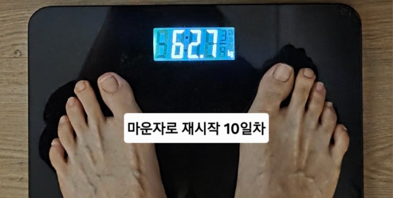 [마운자로 재시작 10일차] 마운자로5mg 솔직후기 | 투여 이틀 미뤄서 맞기