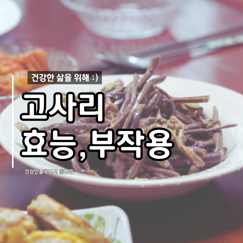 고사리 효능 부작용 고사리 삶는법 독