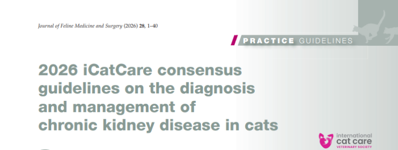 [고양이 신장병] 10년 만에 개정된 "2026 iCatCare 고양이 만성신부전(CKD) 가이드라인" : 무엇이 ....