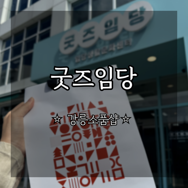 [강릉기념품] 굿즈임당:: 강릉 시내 소품샵, 기념품 추천!!