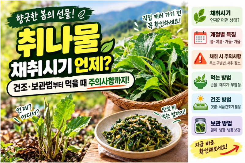 취나물 채취시기 언제일까? 건조·보관법과 먹을 때 주의사항