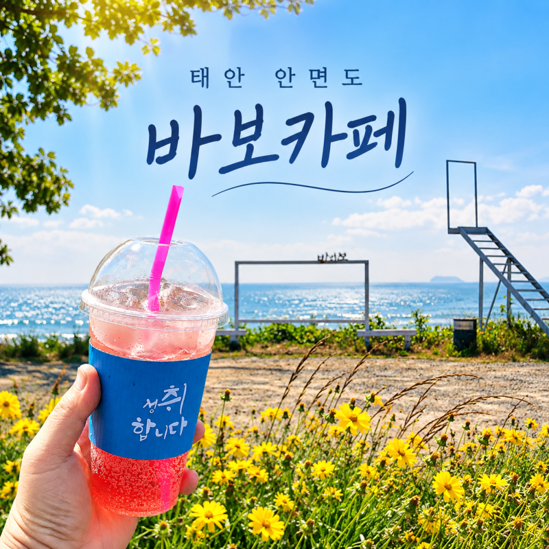 태안 안면도 카페 애견 동반 오션뷰 맛집 바보카페 힐링 여행 추천