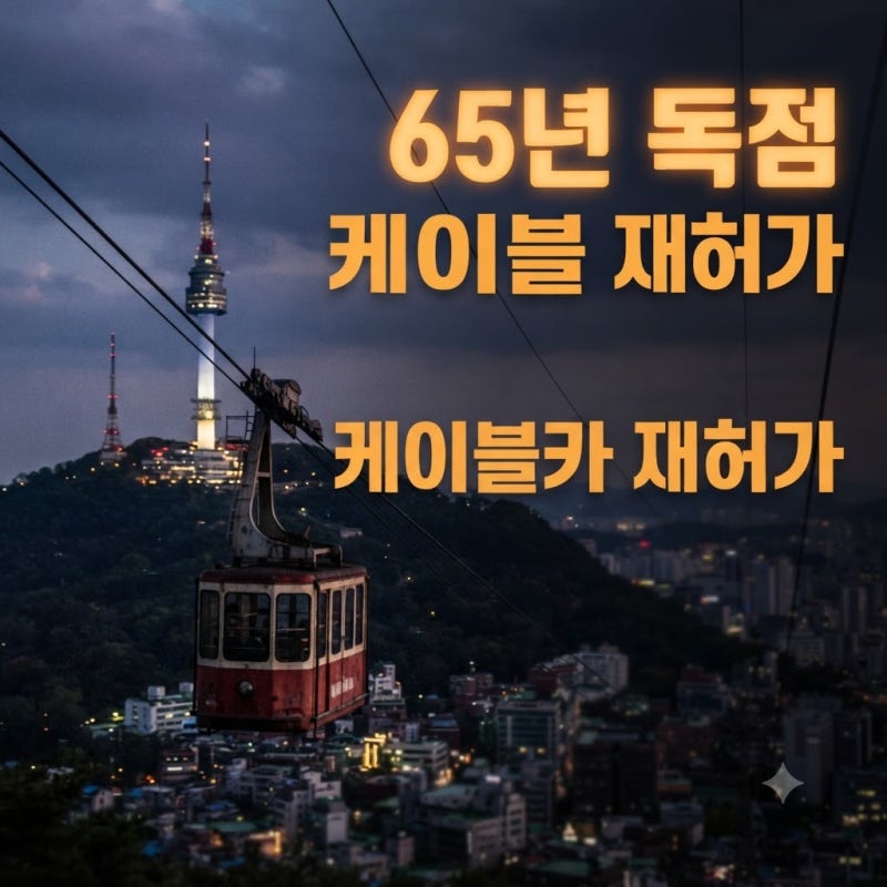 65년 독점 남산케이블카 재허가 심사, 2년 내 운명 가를 핵심 쟁점